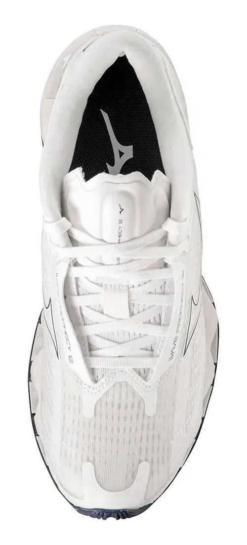 Tênis Mizuno Wave Prophecy 12